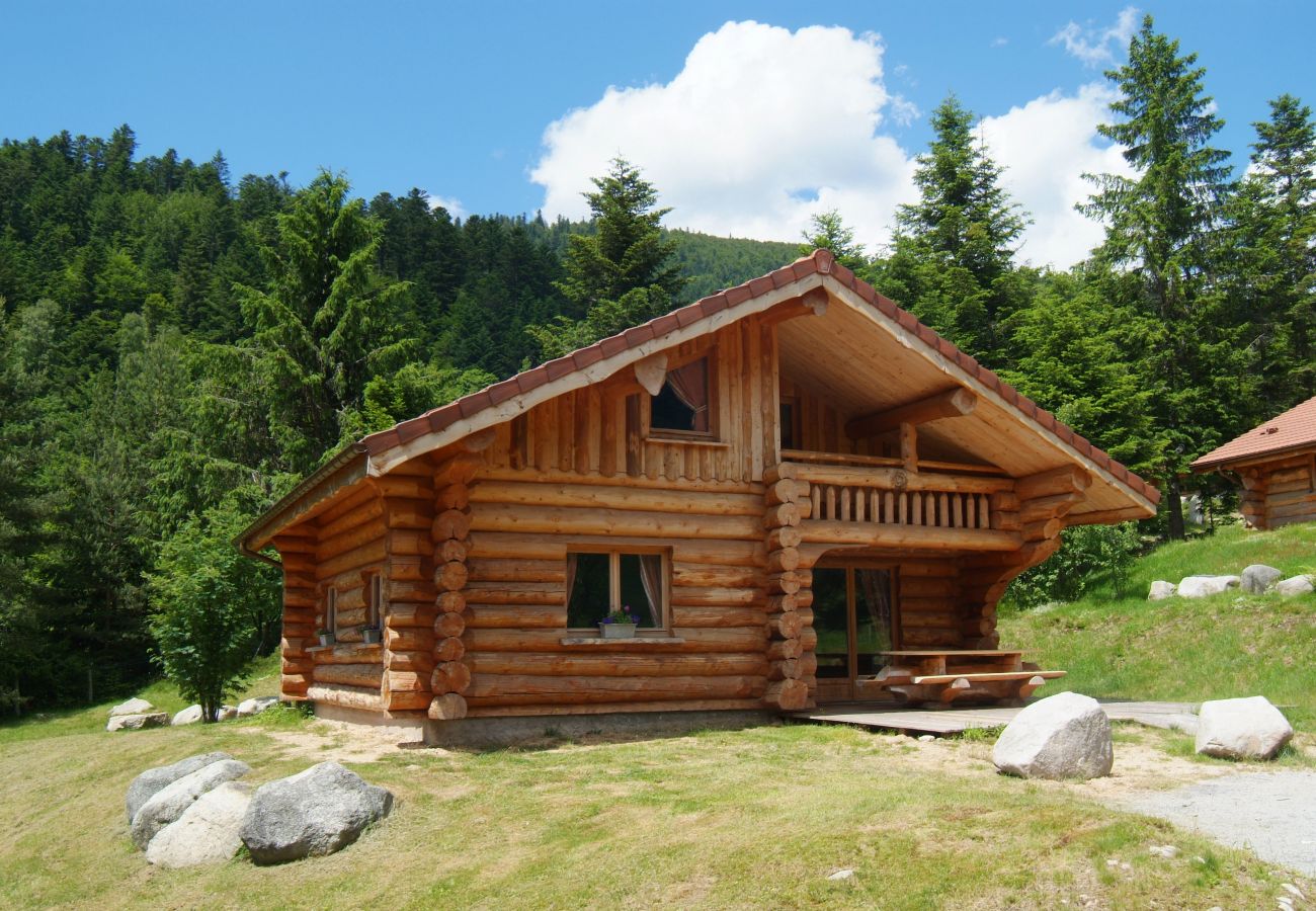 Chalet in La Bresse - 8. BA  Magnifique chalet rondins 130m², 4ch, 8/10p