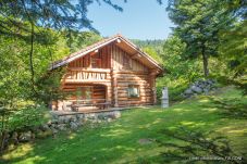 Chalet in La Bresse - 8. BA  Magnifique chalet rondins...