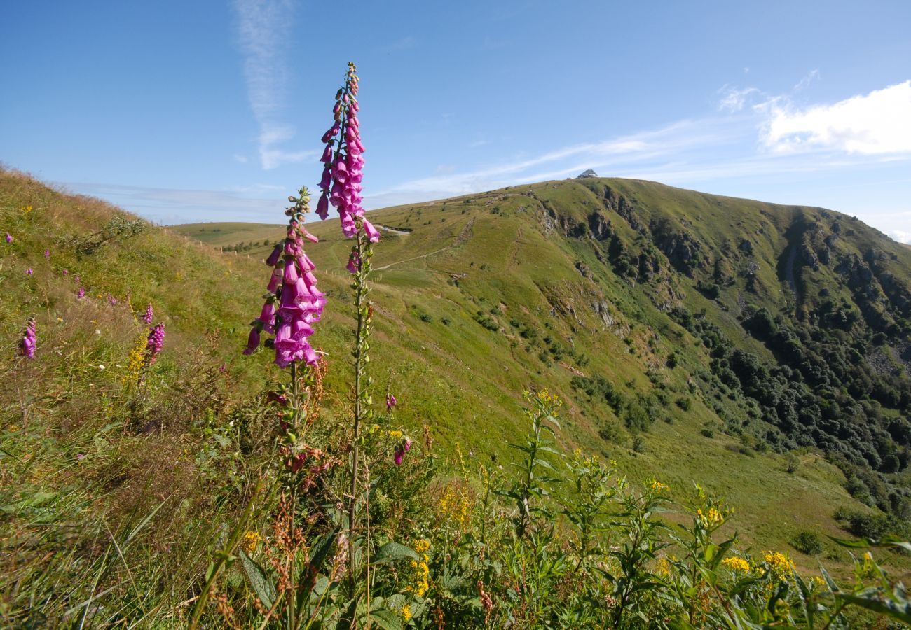 Ferienwohnung in La Bresse - F4 Grand appartement premium 60m² 2ch 6p cheminée