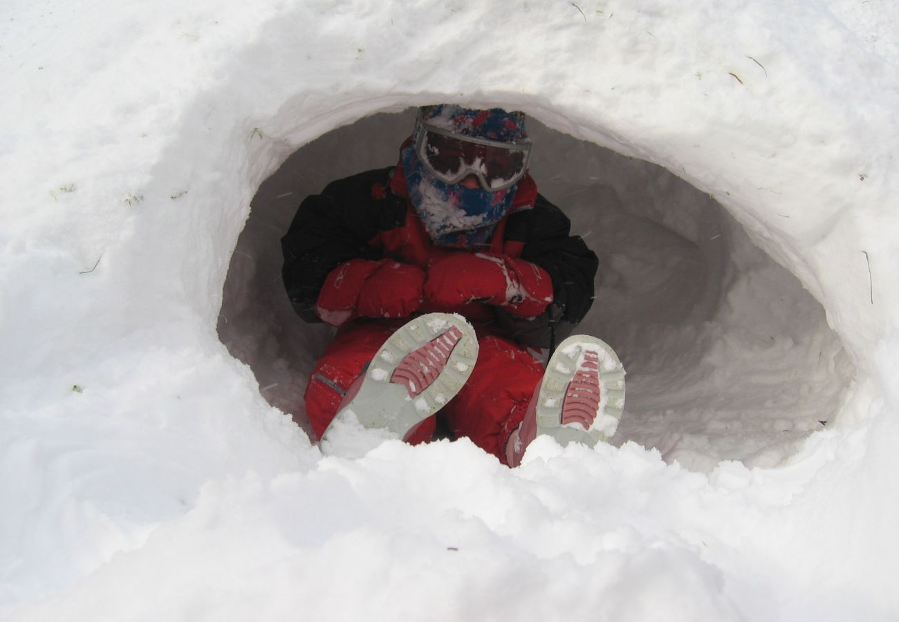 Ferienwohnung in La Bresse - M18. Appartement Premium 3/4 p 2 chambres 52m²