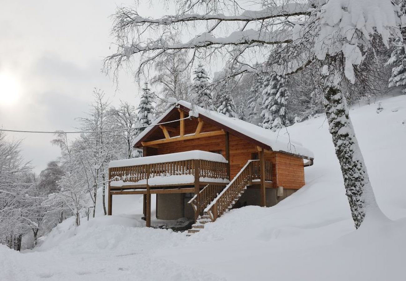 Chalet in La Bresse - 1. Superbe chalet traditionnel en lisière de forêt