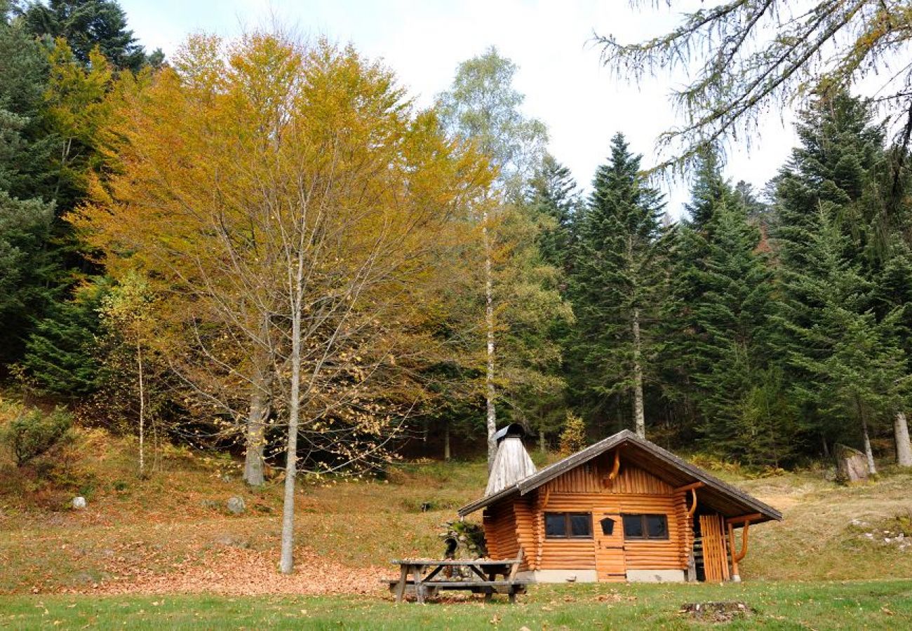 Chalet in La Bresse - 1. Superbe chalet traditionnel en lisière de forêt