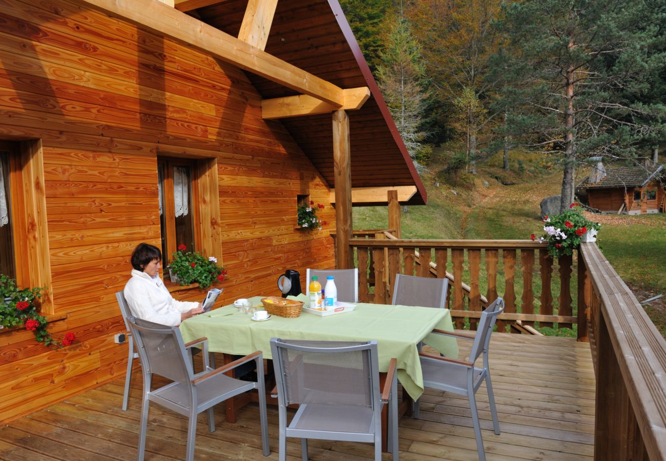 Chalet in La Bresse - 1. Superbe chalet traditionnel en lisière de forêt