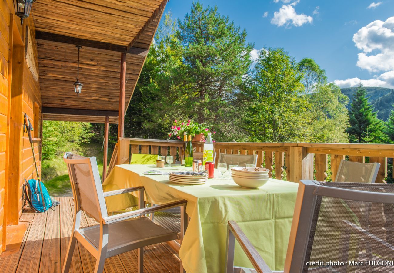 Chalet in La Bresse - 2. Chalet traditionnel en pleine nature, 8 p, 4 ch