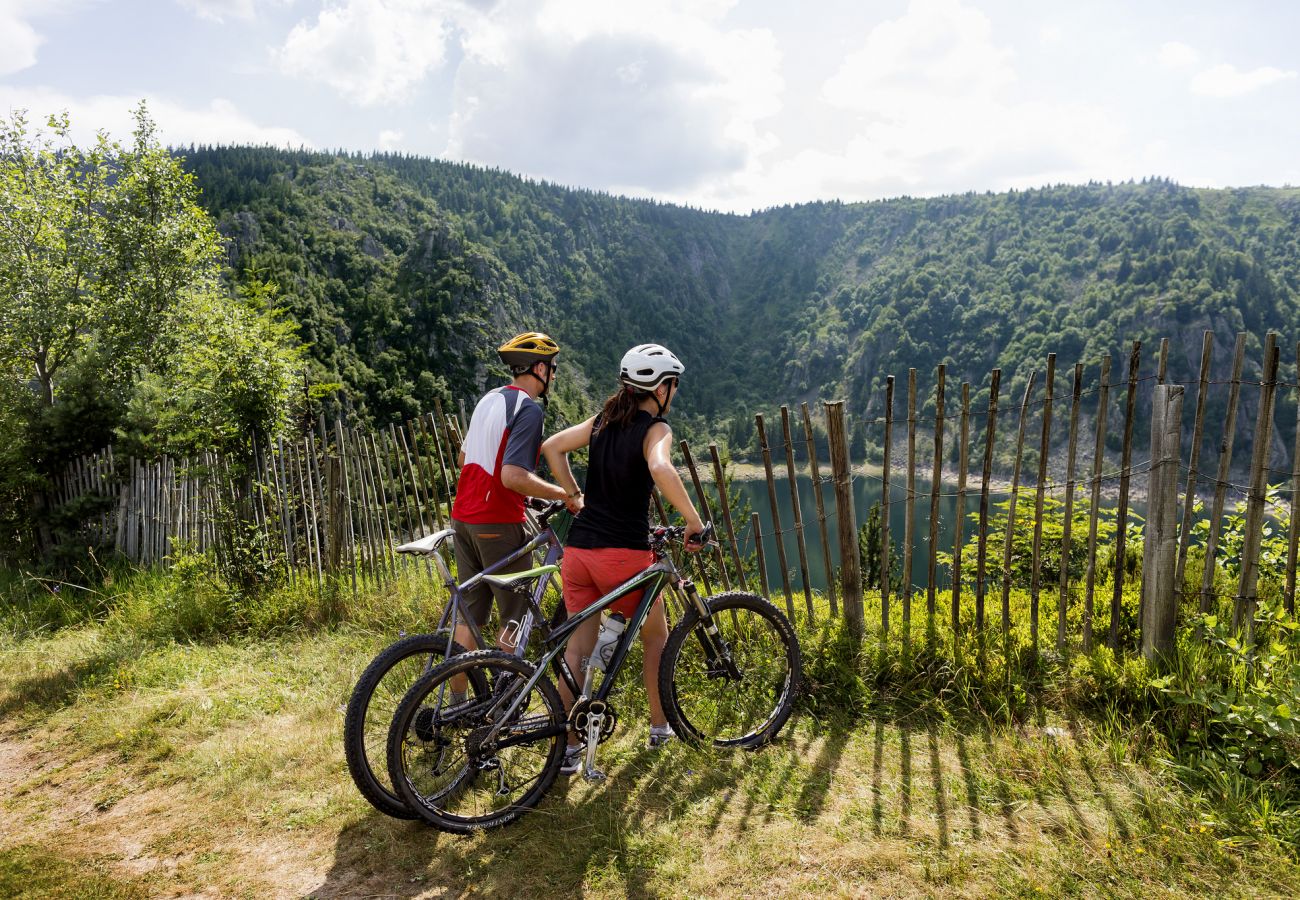 Chalet in La Bresse - 2. Chalet traditionnel en pleine nature, 8 p, 4 ch