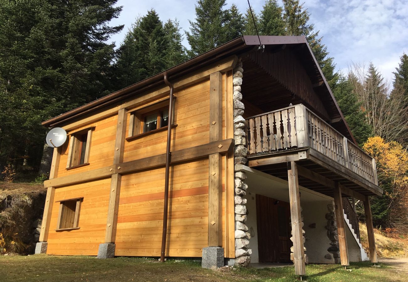 Chalet in La Bresse - 2. Chalet traditionnel en pleine nature, 8 p, 4 ch