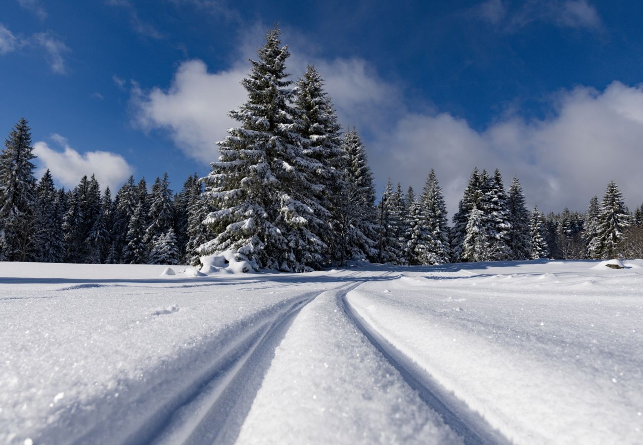 Chalet in La Bresse - 7. Beau chalet rondins 6/8 p, 3 ch, 85 m² N