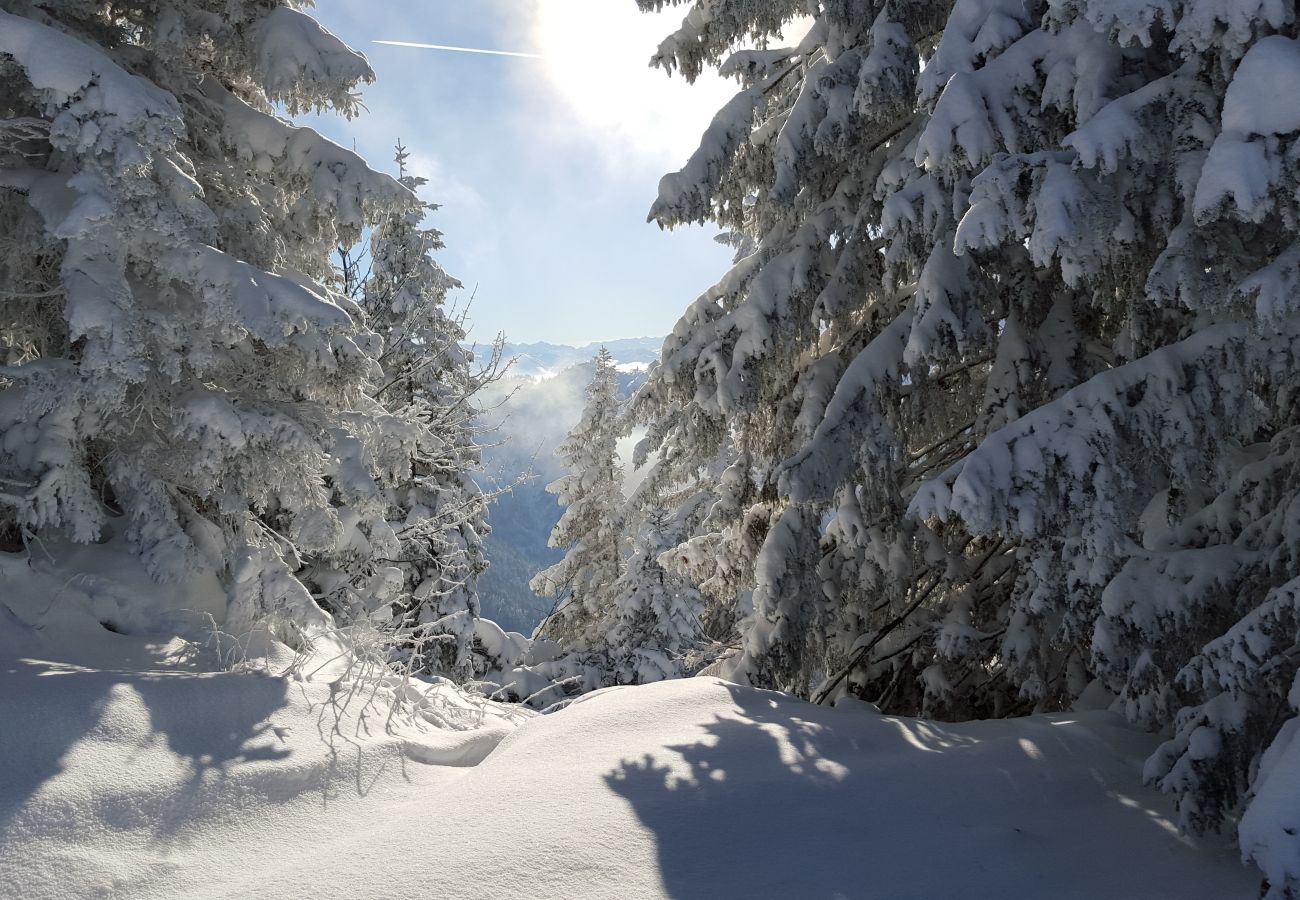 Chalet in La Bresse - 3. Magnifique chalet rondins 4/6 p, 52 m², 2 ch S