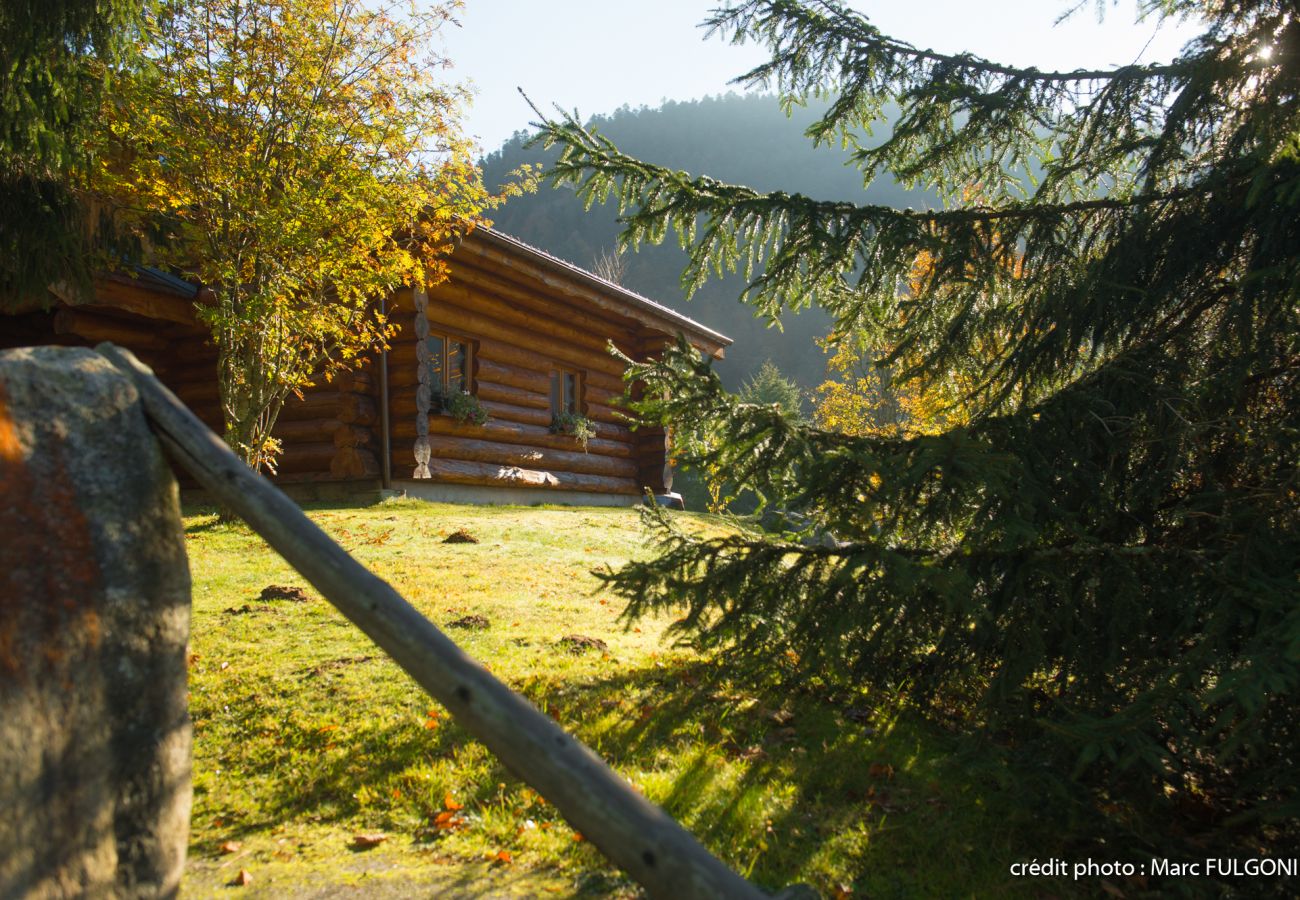 Chalet in La Bresse - 3. Magnifique chalet rondins 4/6 p, 52 m², 2 ch S