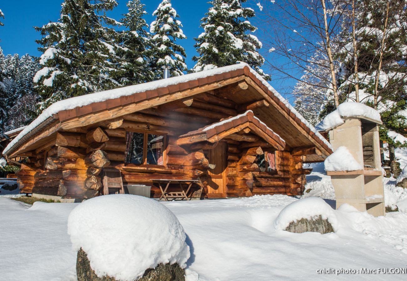 Chalet in La Bresse - 3. Magnifique chalet rondins 4/6 p, 52 m², 2 ch S