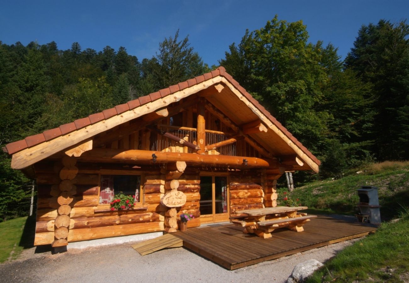 Chalet in La Bresse - 912. Superbe chalet rondins 10/12p, 140m², 4ch