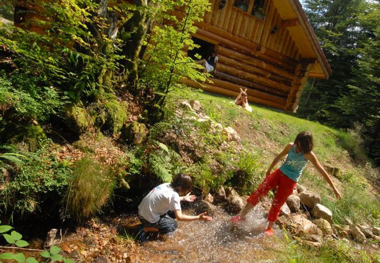 Chalet in La Bresse - 912. Superbe chalet rondins 10/12p, 140m², 4ch