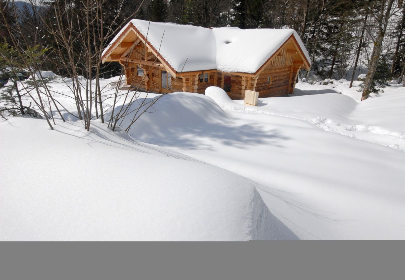 Chalet in La Bresse - 912. Superbe chalet rondins 10/12p, 140m², 4ch