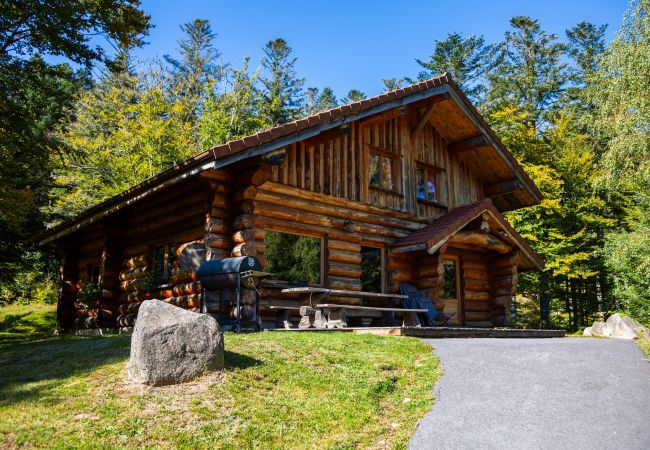 Chalet in La Bresse - 914. Superbe chalet rondin 12/14p 150m² 4ch sauna