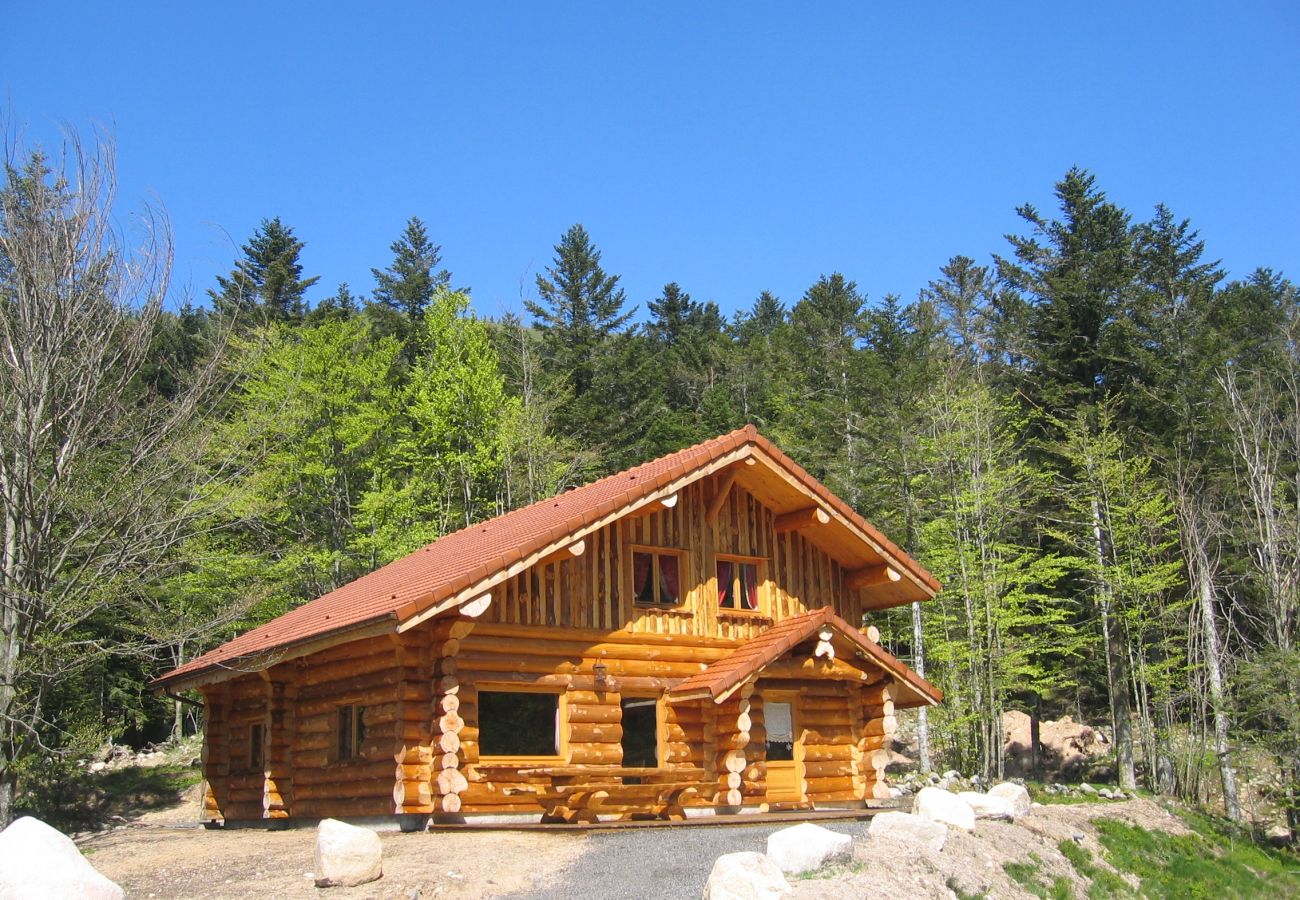 Chalet in La Bresse - 914. Superbe chalet rondin 12/14p 150m² 4ch sauna