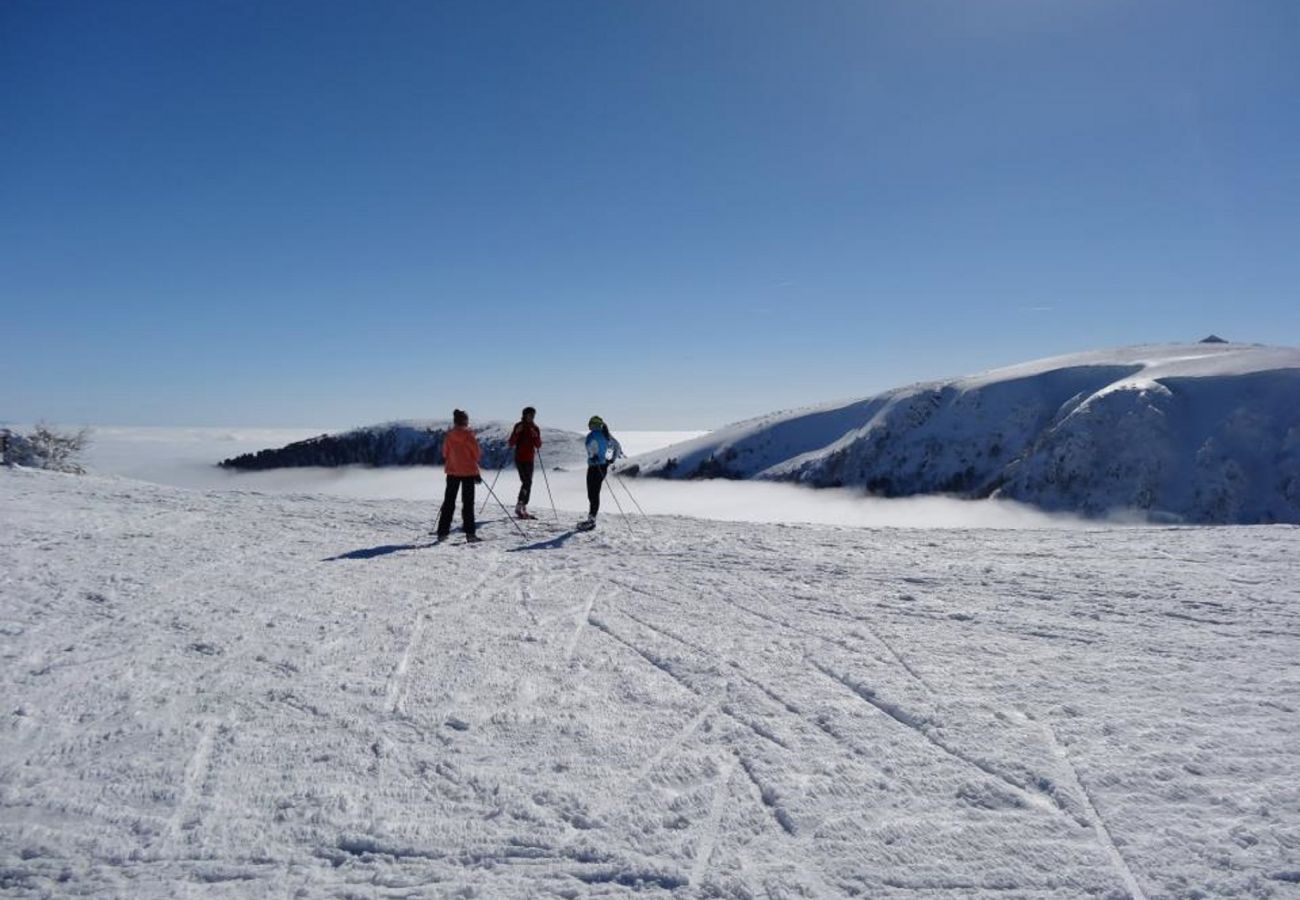 Chalet in La Bresse - 914. Superbe chalet rondin 12/14p 150m² 4ch sauna