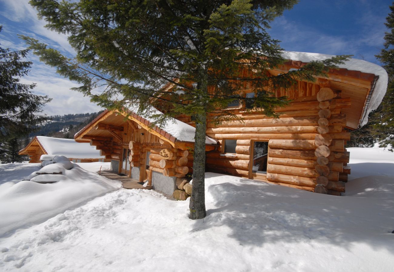 Chalet in La Bresse - 916. Magnifique chalet rondins 14/16p, 220m², 6ch