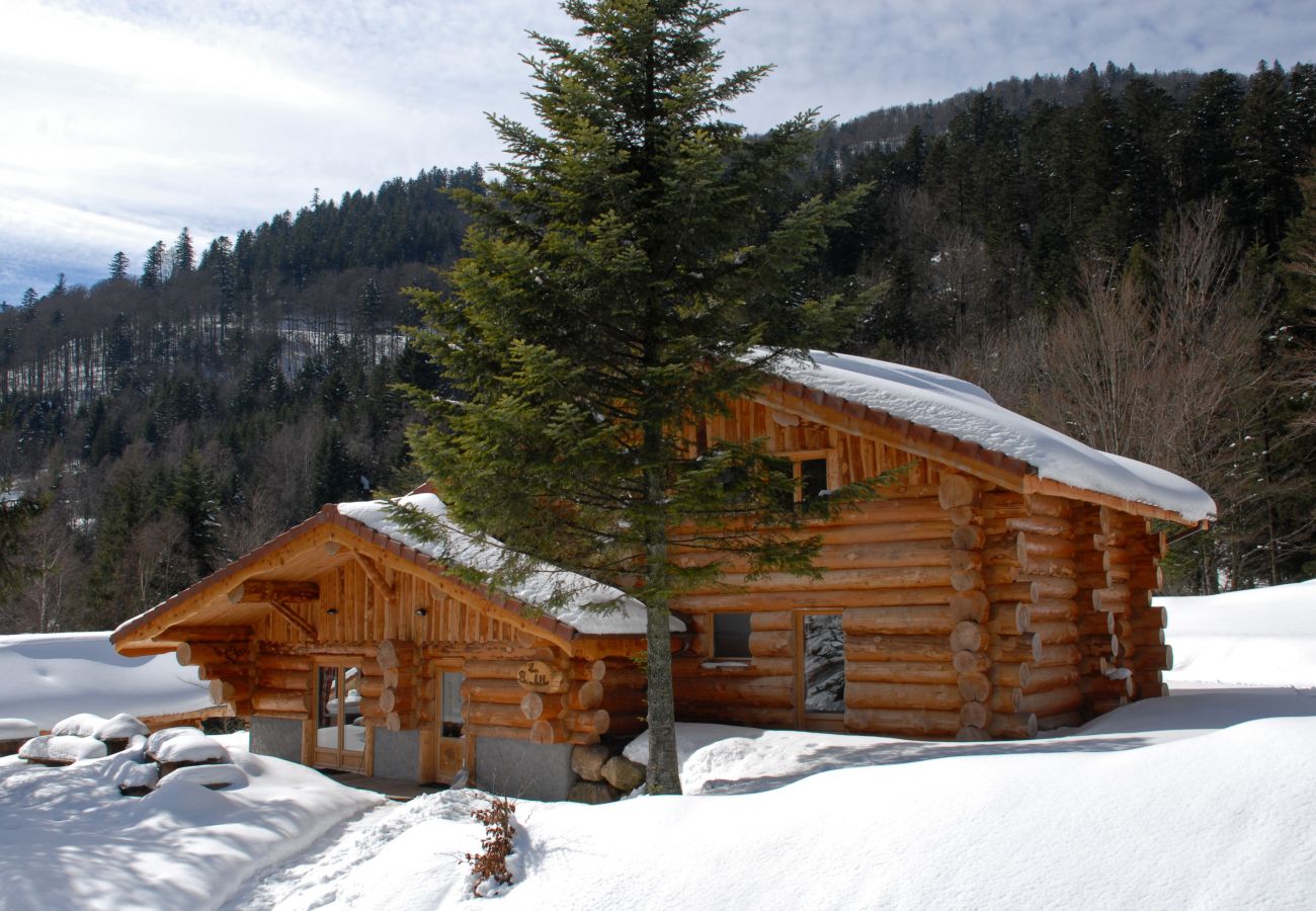 Chalet in La Bresse - 916. Magnifique chalet rondins 14/16p, 220m², 6ch