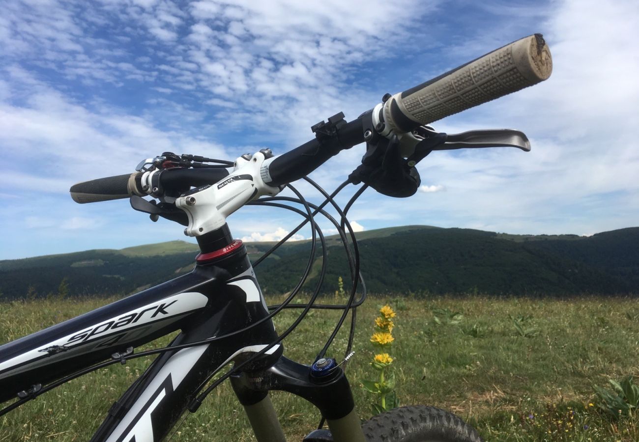 Ferienwohnung in La Bresse - G6. Appartement premium 3/5p 42m² 1ch terrasse