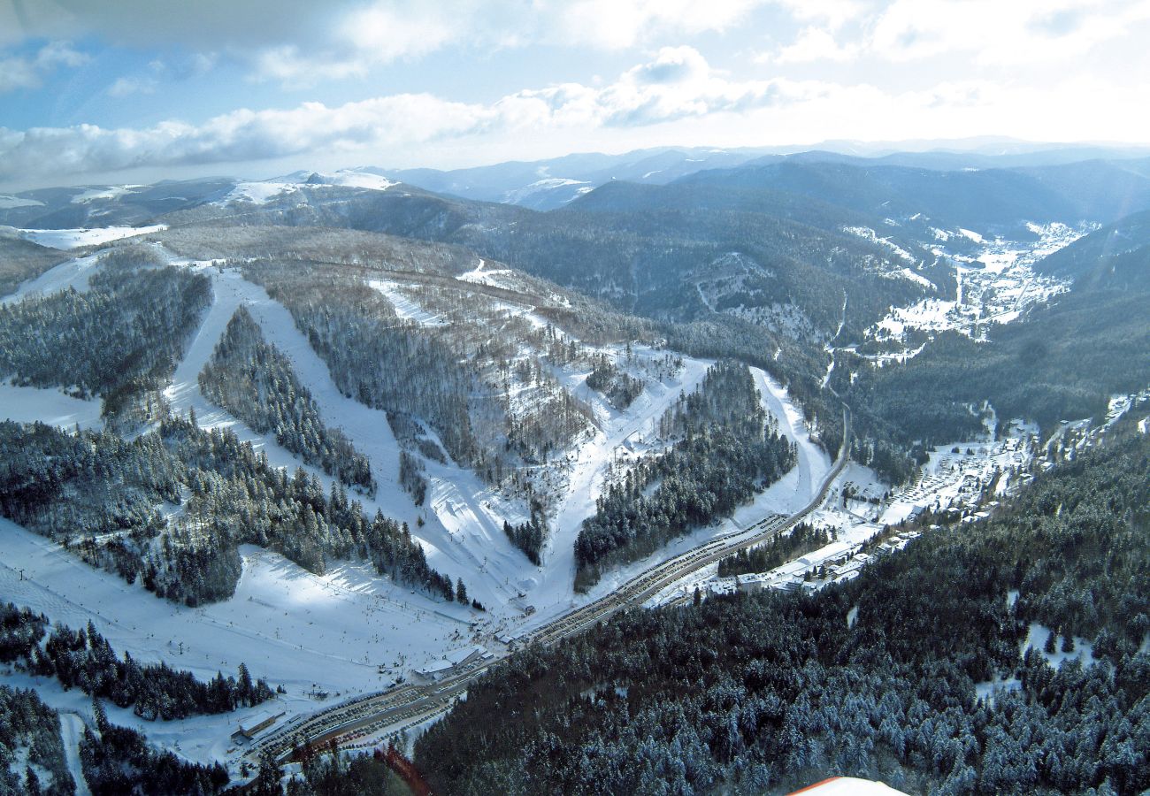 Chalet in La Bresse - 8. BE Magnifique chalet rondins 130m², 4ch, 8/10p