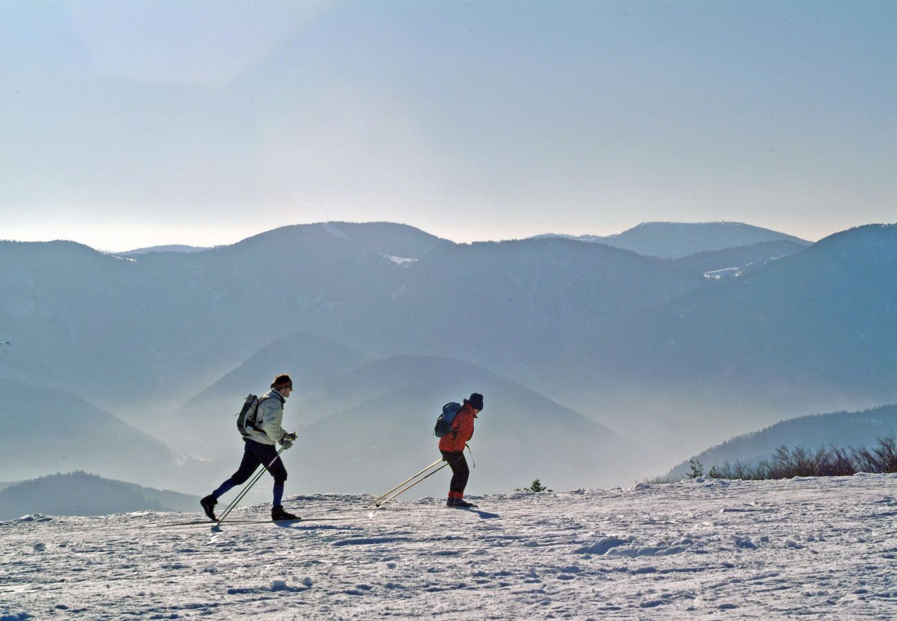 Chalet in La Bresse - 6. Beau chalet rondins 6/8 p, 3 ch, 85 m² F