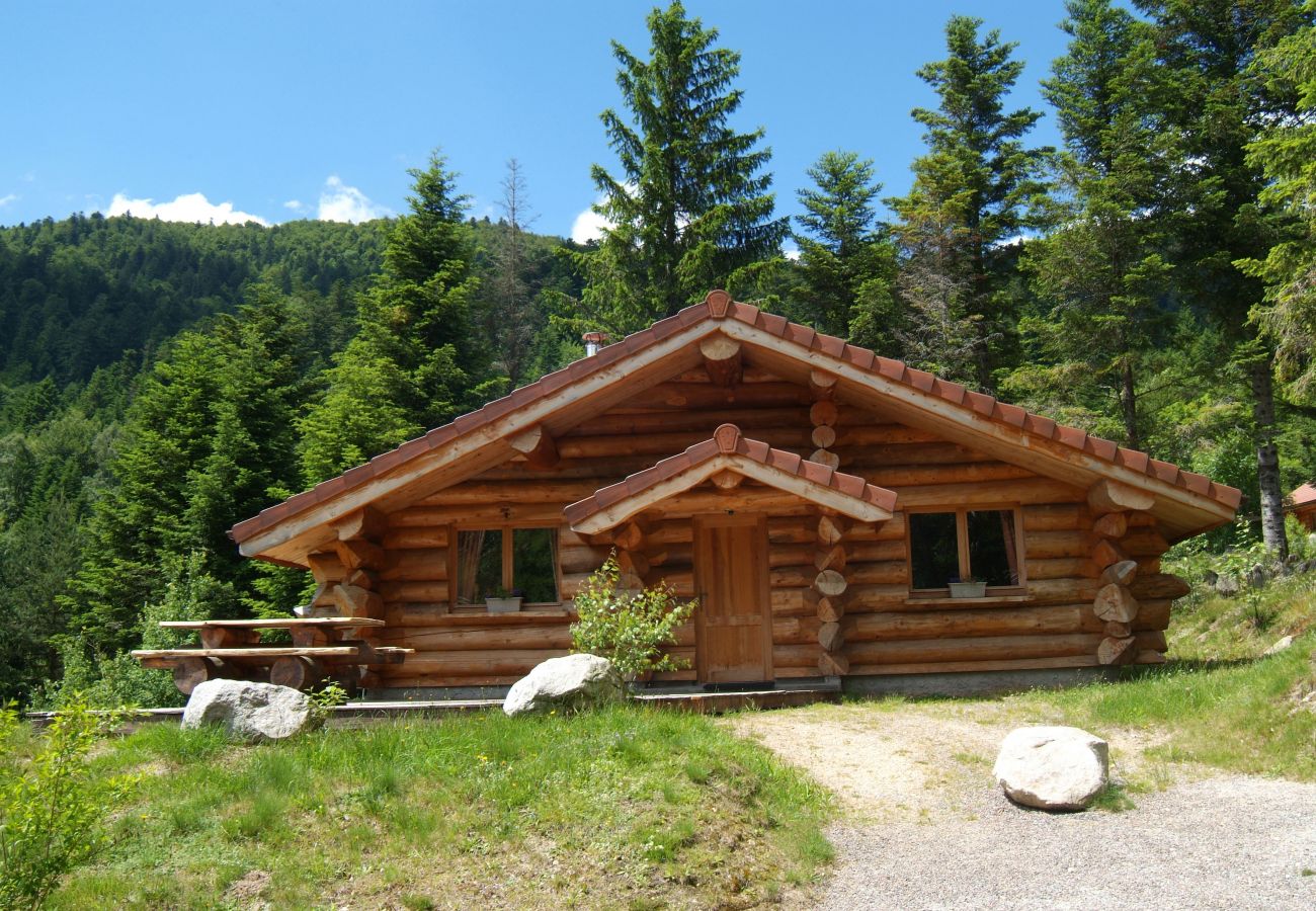 Chalet in La Bresse - 4. Magnifique chalet rondins 4/6 p, 52 m², 2 ch G