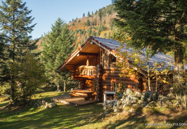 Chalet in La Bresse - 8. SO Magnifique chalet rondins 130m², 4ch, 8/10p