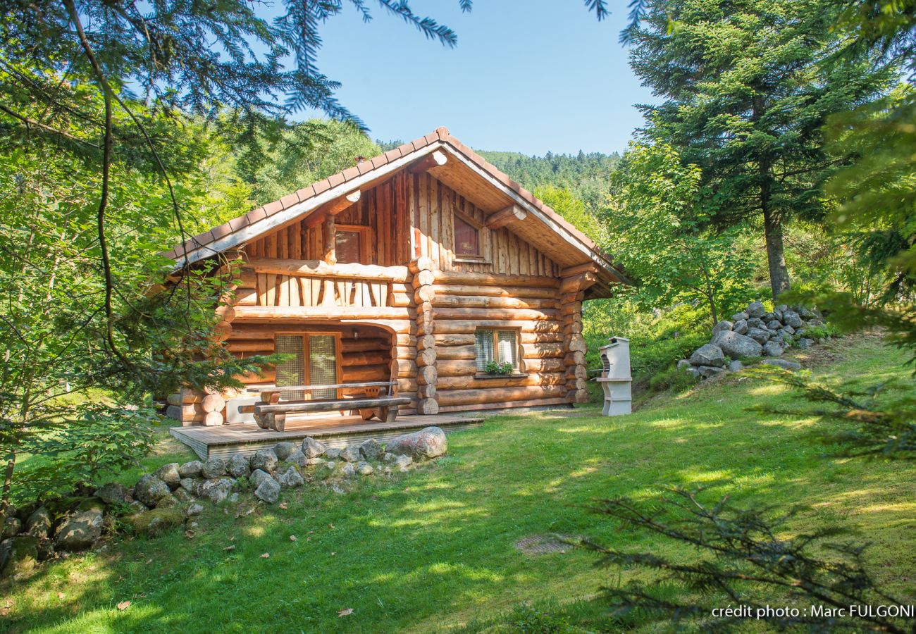 Chalet in La Bresse - 8. BA  Magnifique chalet rondins 130m², 4ch, 8/10p