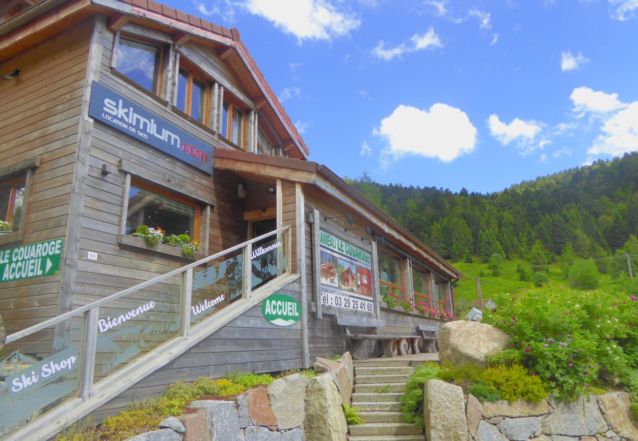 Apartment in La Bresse - L10. Appartement duplex premium 8p 65m² calme