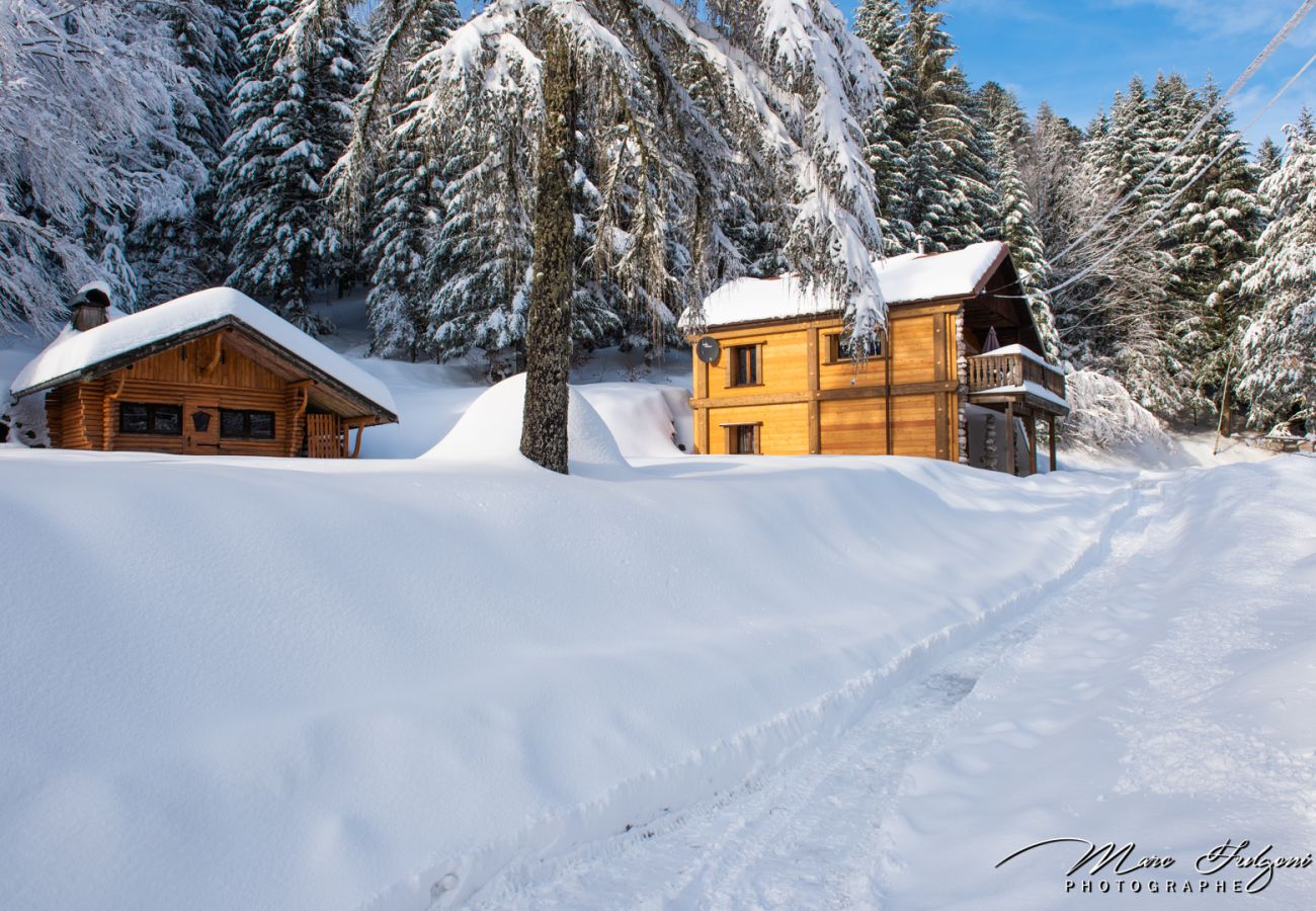 Chalet in La Bresse - 2. Chalet traditionnel en pleine nature, 8 p, 4 ch