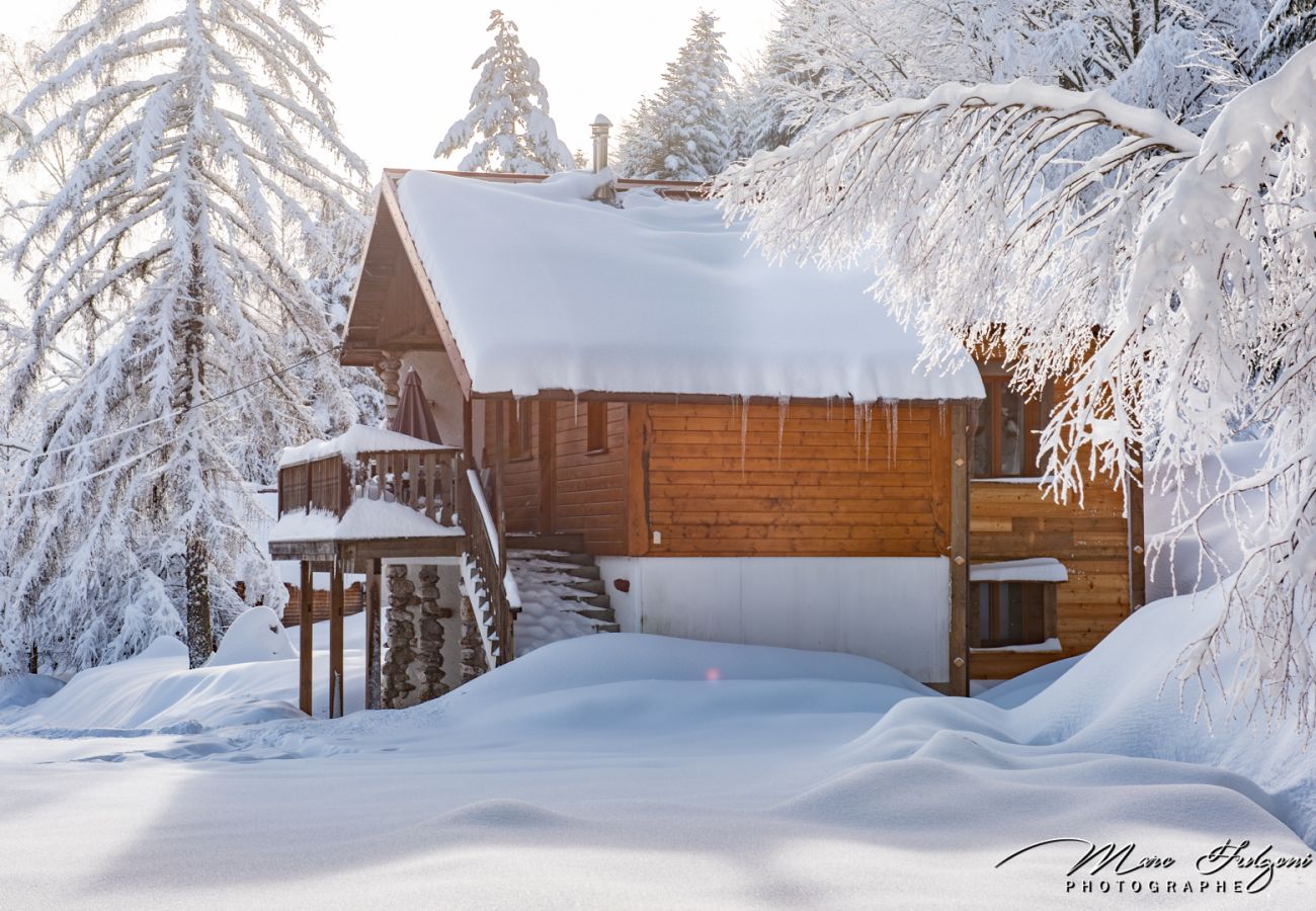 Chalet in La Bresse - 2. Chalet traditionnel en pleine nature, 8 p, 4 ch