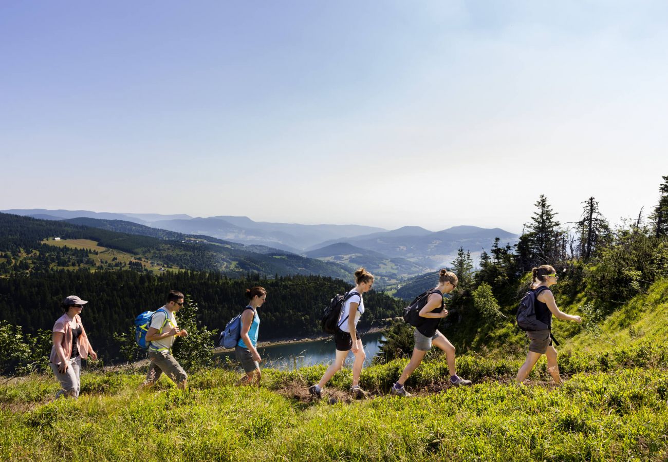Chalet in La Bresse - 2. Chalet traditionnel en pleine nature, 8 p, 4 ch