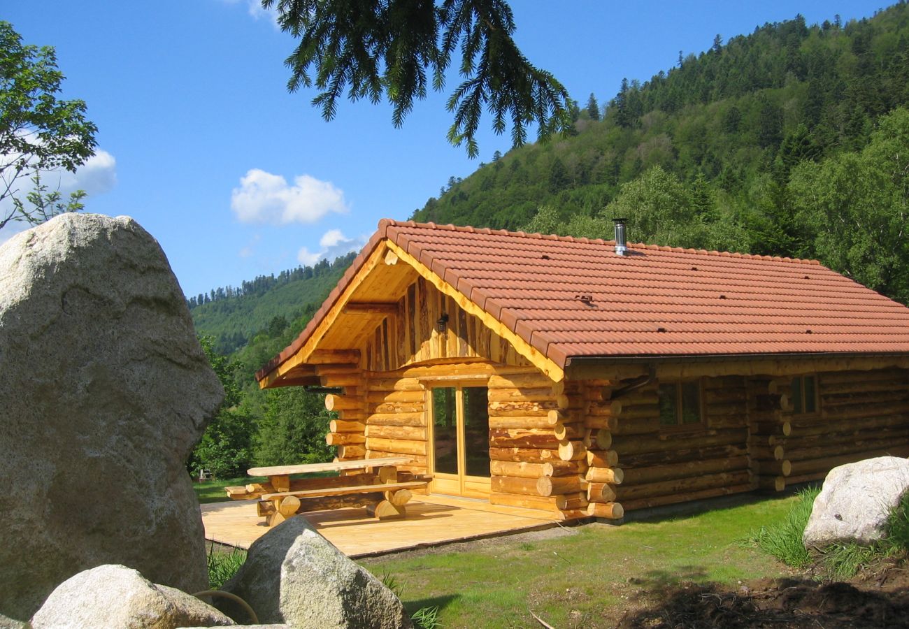 Chalet in La Bresse - 3. Magnifique chalet rondins 4/6 p, 52 m², 2 ch S