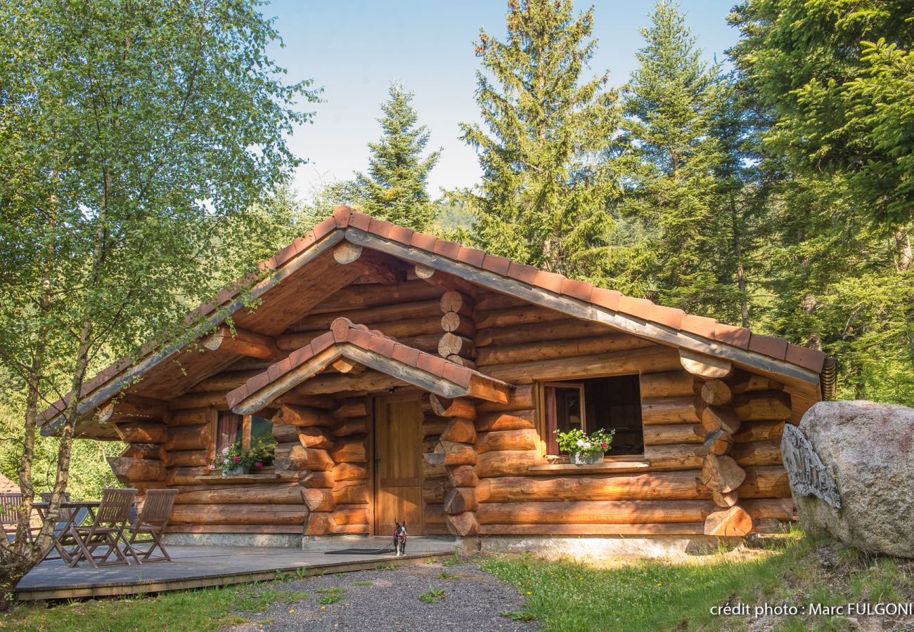 Chalet in La Bresse - 3. Magnifique chalet rondins 4/6 p, 52 m², 2 ch S