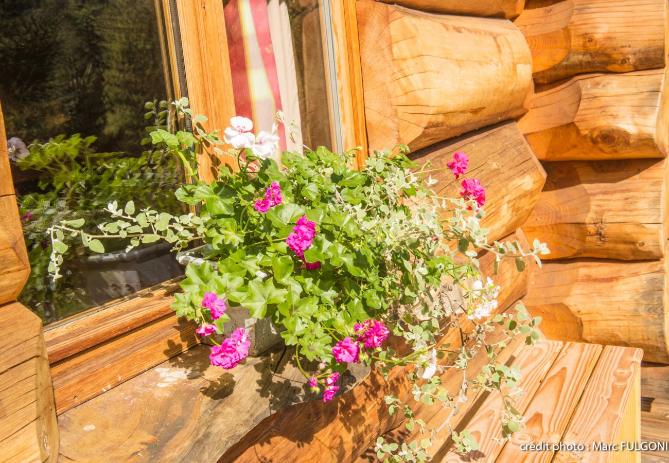 Chalet in La Bresse - 5. Superbe chalet rondins 4/6 p, 2 ch, 65m², calme