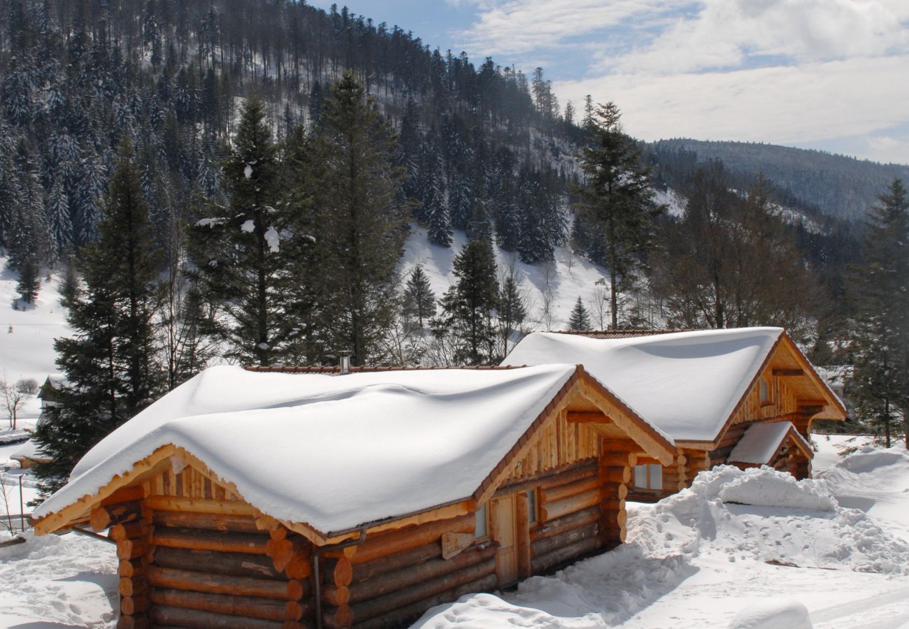 Chalet in La Bresse - 5. Superbe chalet rondins 4/6 p, 2 ch, 65m², calme