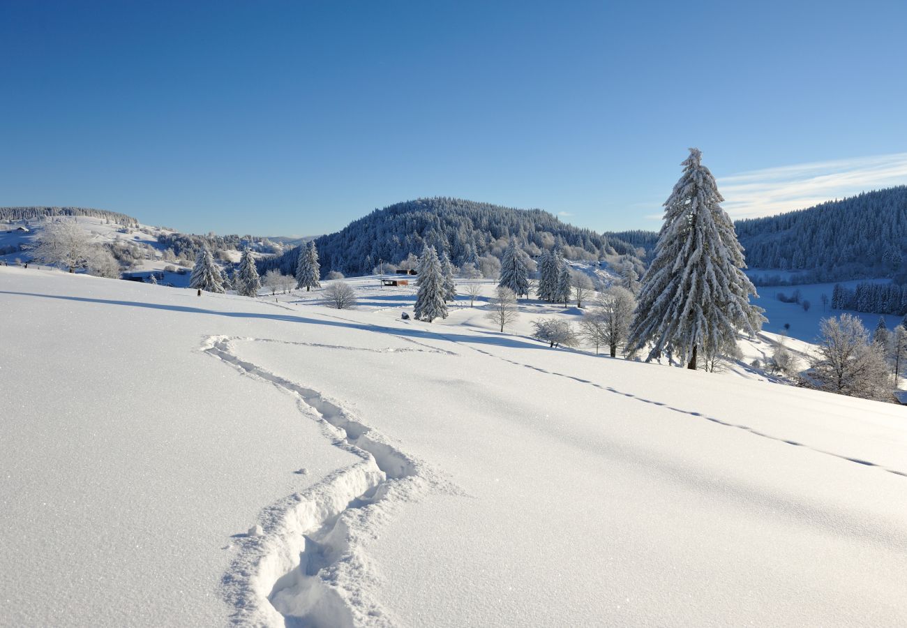 Chalet in La Bresse - 912. Superbe chalet rondins 10/12p, 140m², 4ch