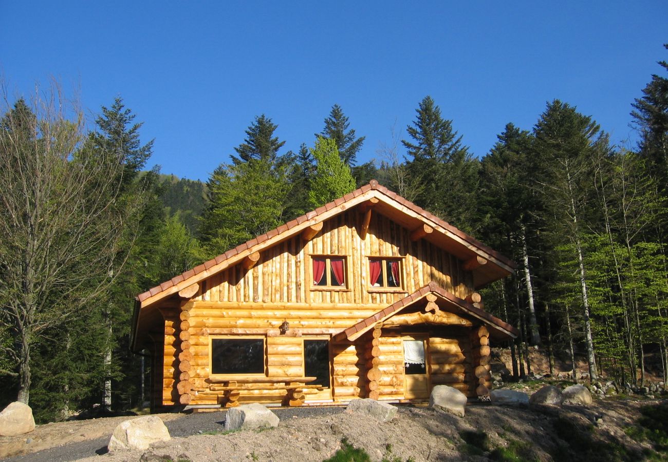 Chalet in La Bresse - 914. Superbe chalet rondin 12/14p 150m² 4ch sauna