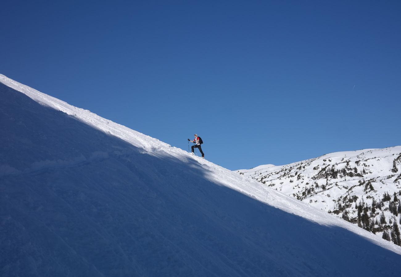 Chalet in La Bresse - 914. Superbe chalet rondin 12/14p 150m² 4ch sauna