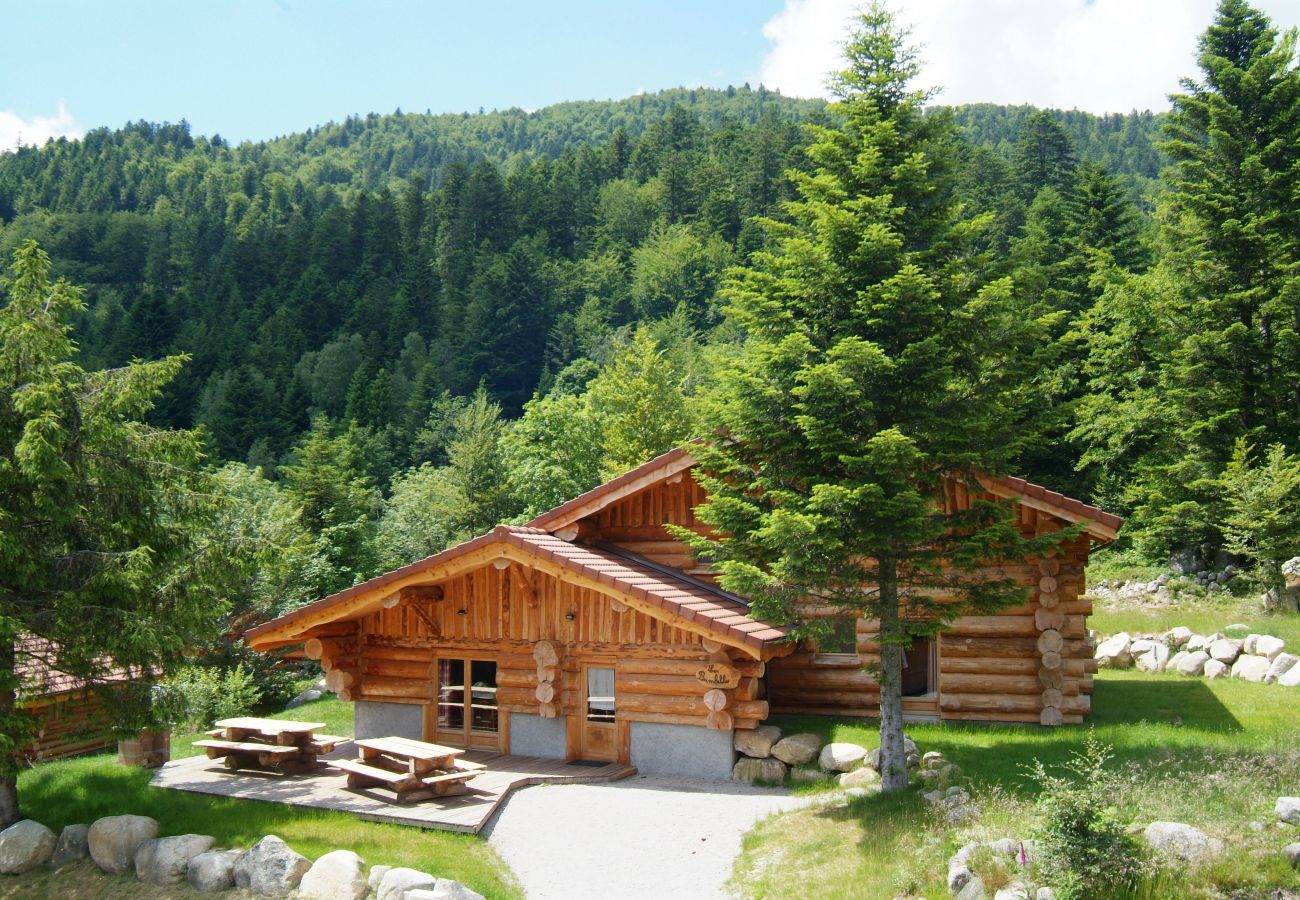 Chalet in La Bresse - 916. Magnifique chalet rondins 14/16p, 220m², 6ch