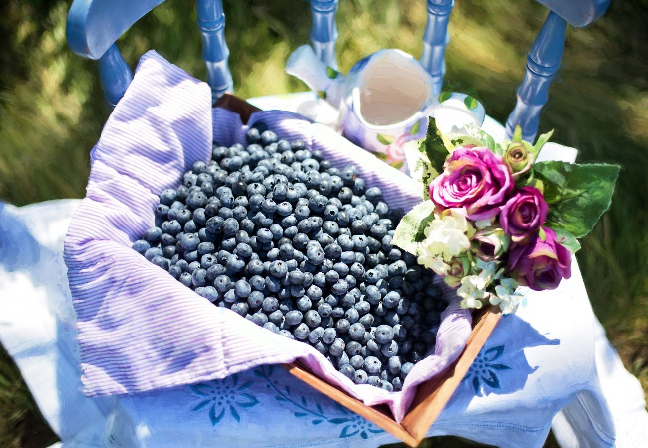 Apartment in La Bresse - G7. Appartement premium 3/5p 42m² 1ch terrasse