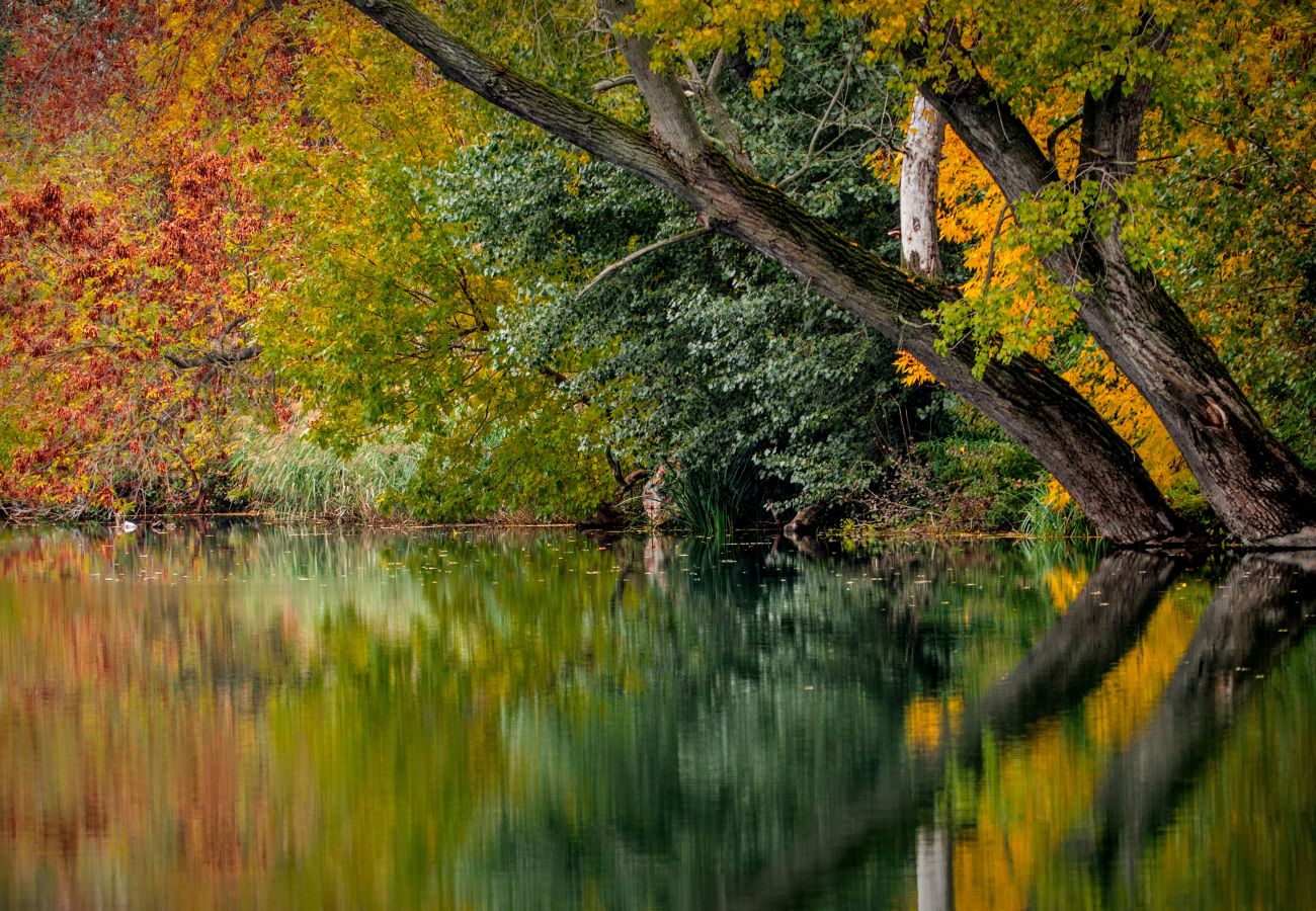 Apartment in La Bresse - G7. Appartement premium 3/5p 42m² 1ch terrasse