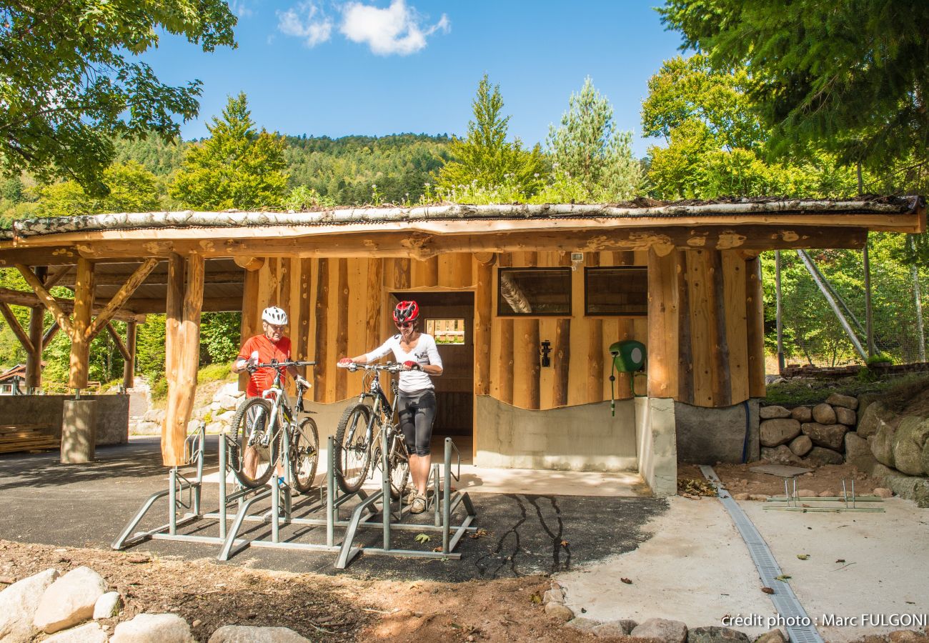 Chalet in La Bresse - 8. BE Magnifique chalet rondins 130m², 4ch, 8/10p