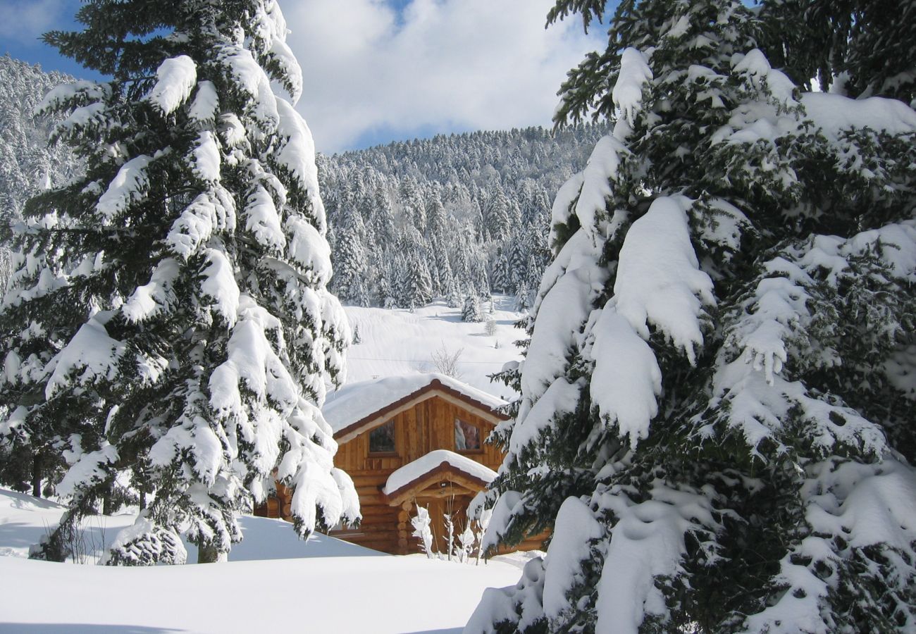 Chalet in La Bresse - 8. BE Magnifique chalet rondins 130m², 4ch, 8/10p