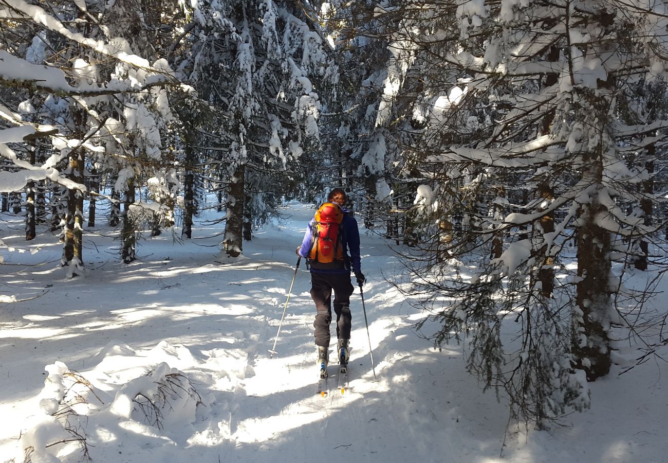 Chalet in La Bresse - 8. BE Magnifique chalet rondins 130m², 4ch, 8/10p