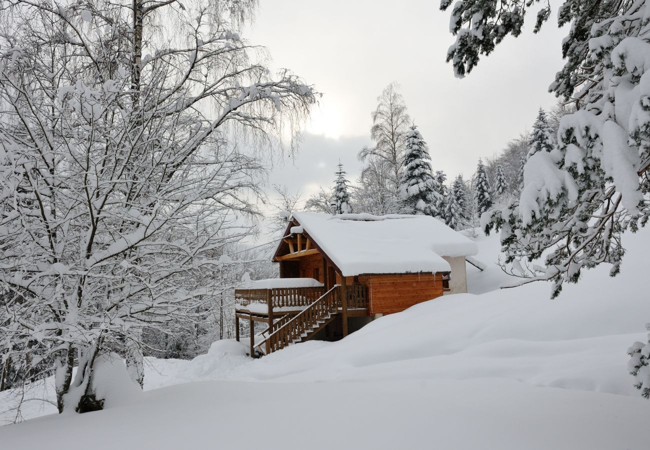 Chalet à La Bresse - 1. Superbe chalet traditionnel en lisière de forêt