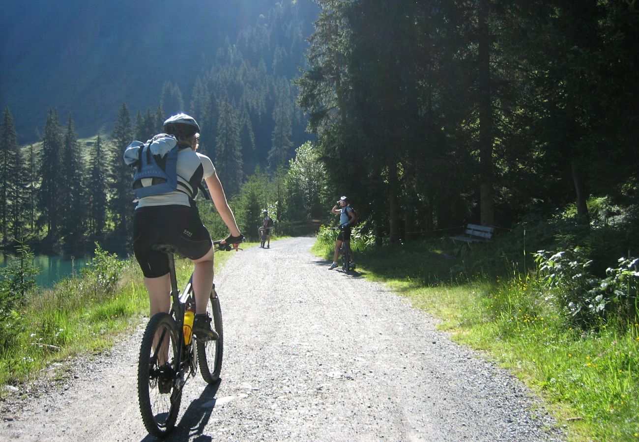 Chalet à La Bresse - 1. Superbe chalet traditionnel en lisière de forêt