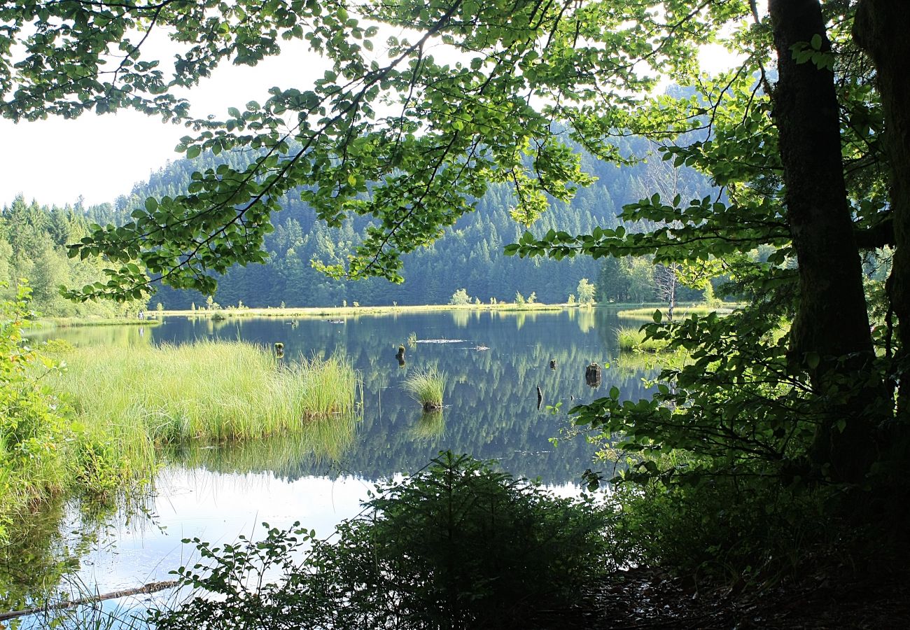 Chalet à La Bresse - 7. Beau chalet rondins 6/8 p, 3 ch, 85 m² N