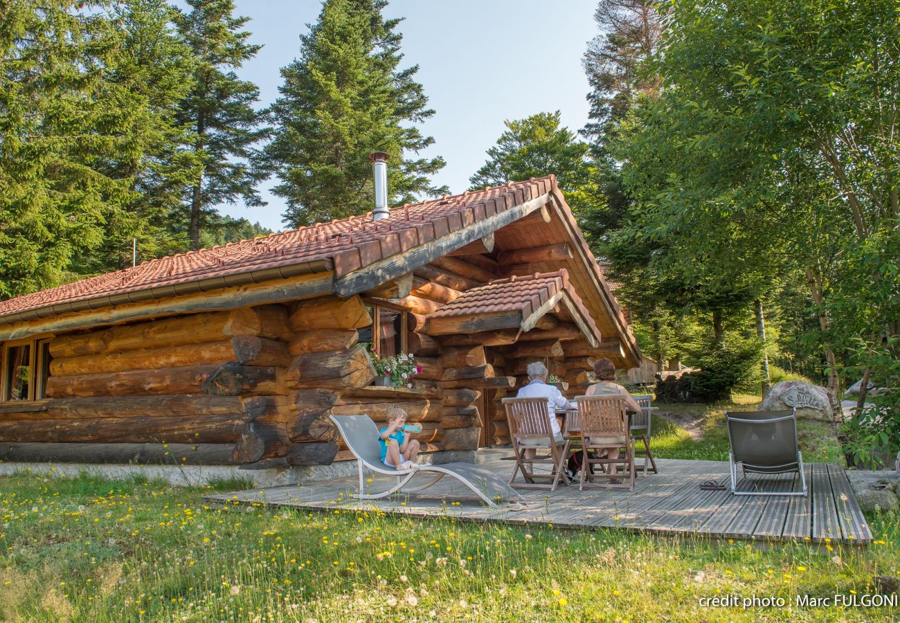 Chalet à La Bresse - 3. Magnifique chalet rondins 4/6 p, 52 m², 2 ch S