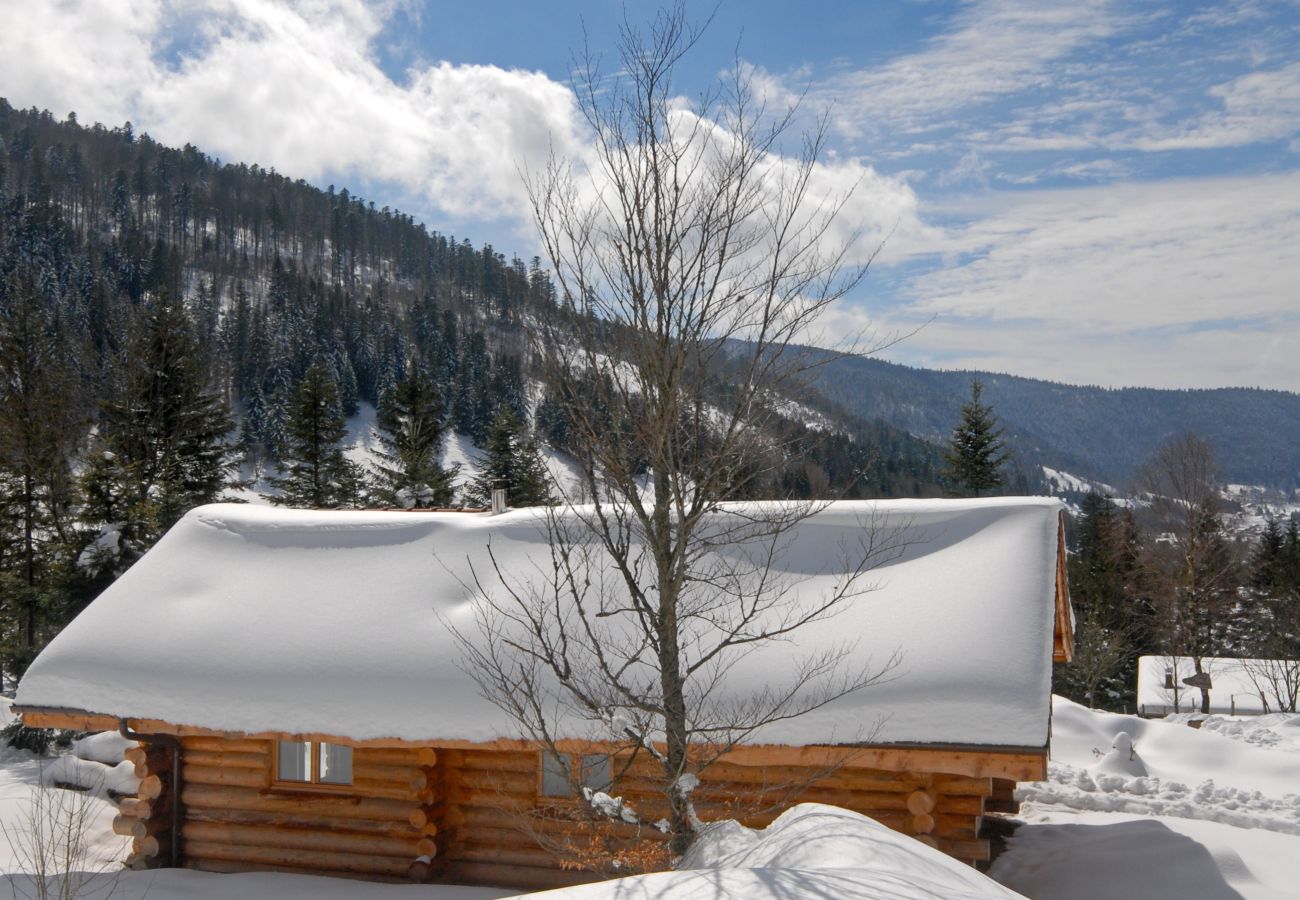 Chalet à La Bresse - 5. Superbe chalet rondins 4/6 p, 2 ch, 65m², calme